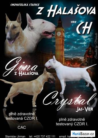 detailní fotografie