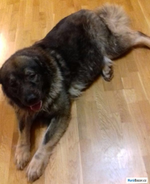 detailní fotografie