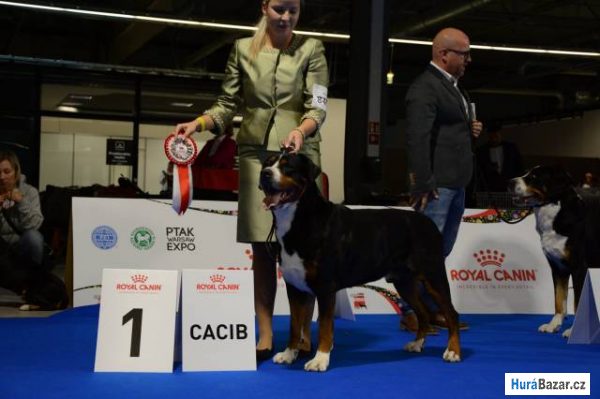 detailní fotografie