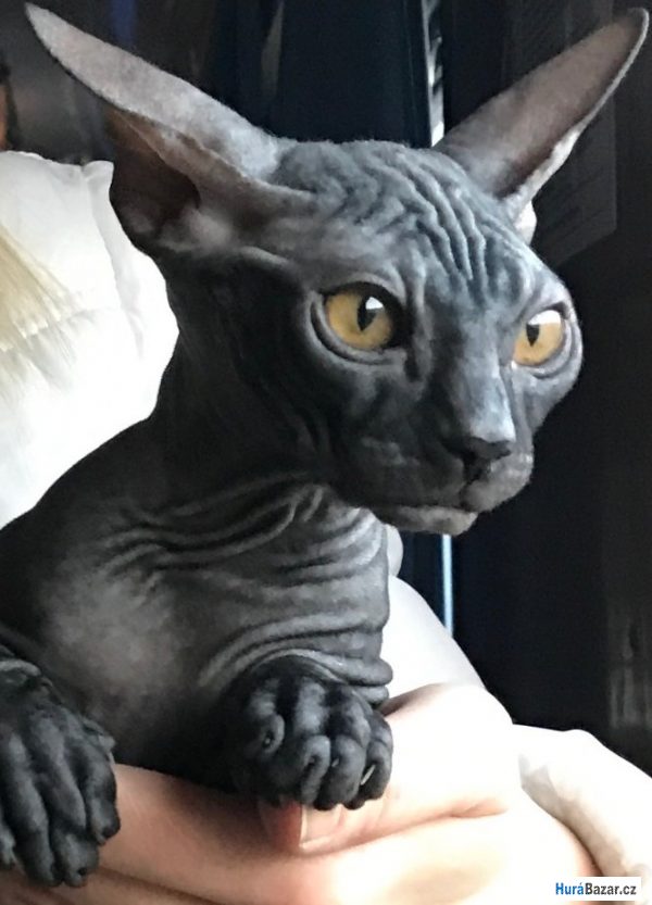 detailní fotografie