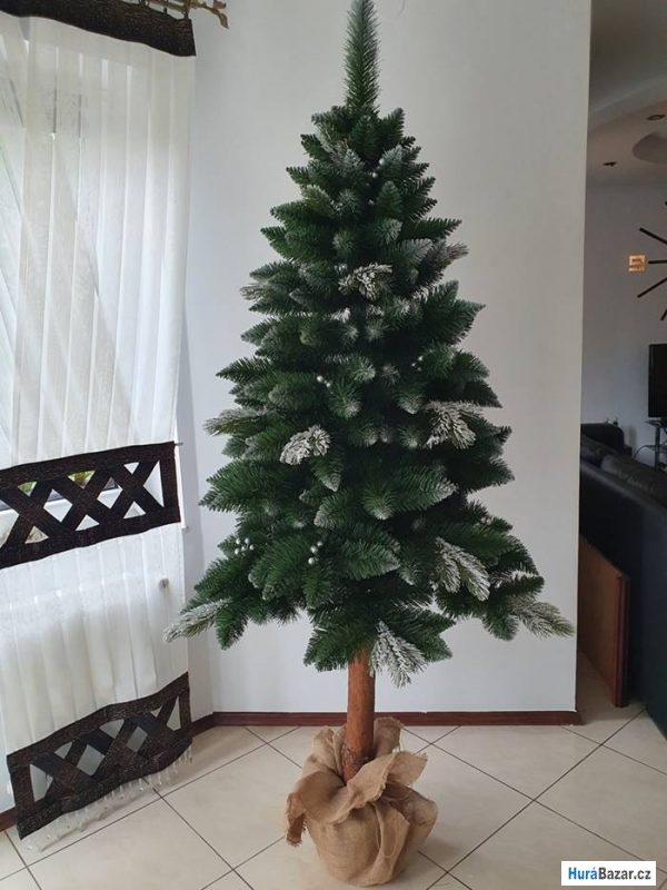 detailní fotografie