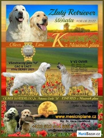 detailní fotografie