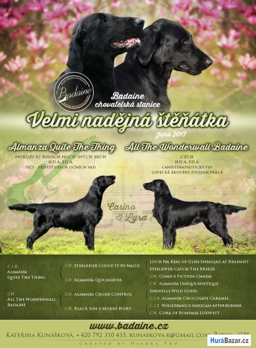 detailní fotografie