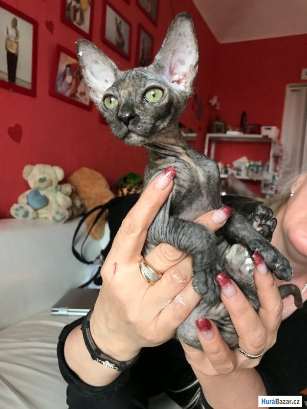 detailní fotografie