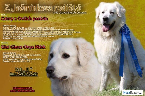 detailní fotografie