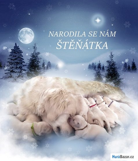 detailní fotografie