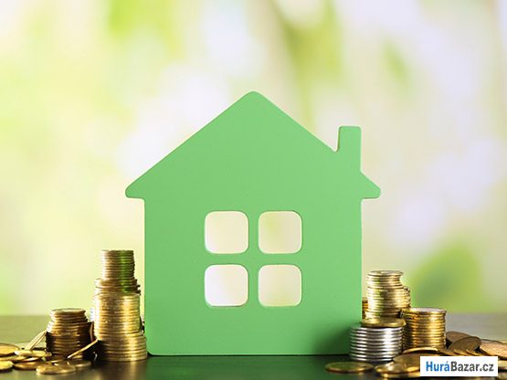 detailní fotografie