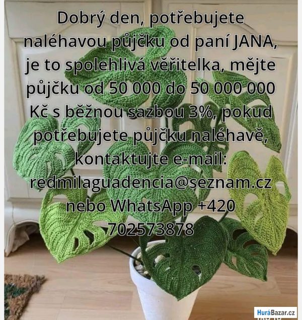 detailní fotografie