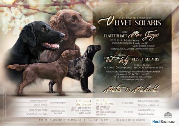 detailní fotografie