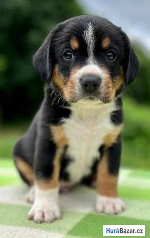 detailní fotografie