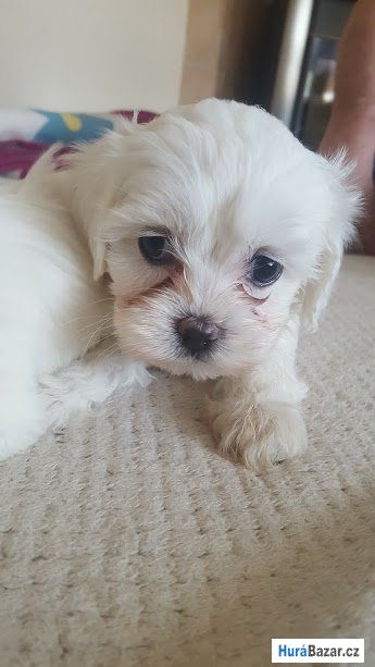 detailní fotografie