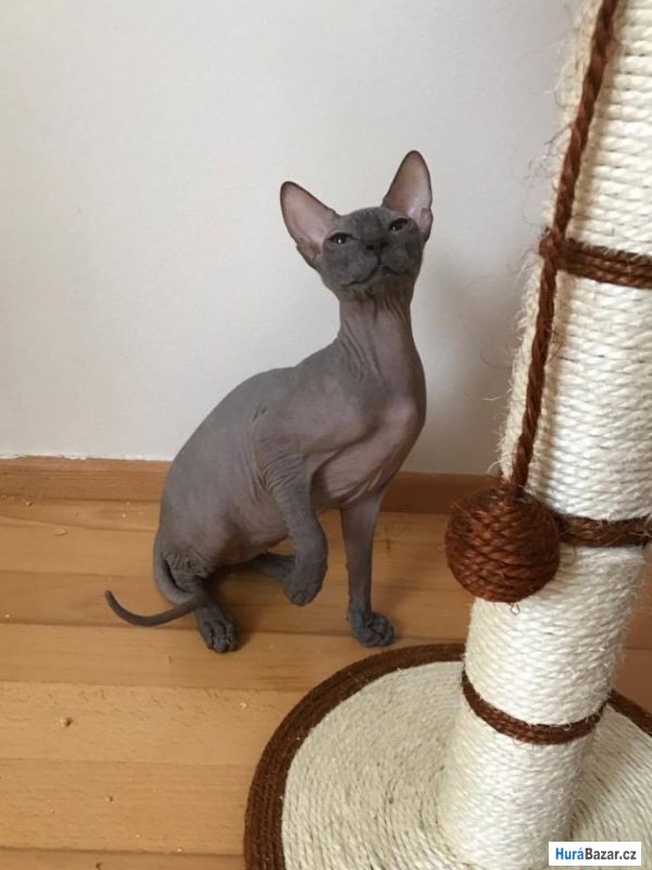 detailní fotografie