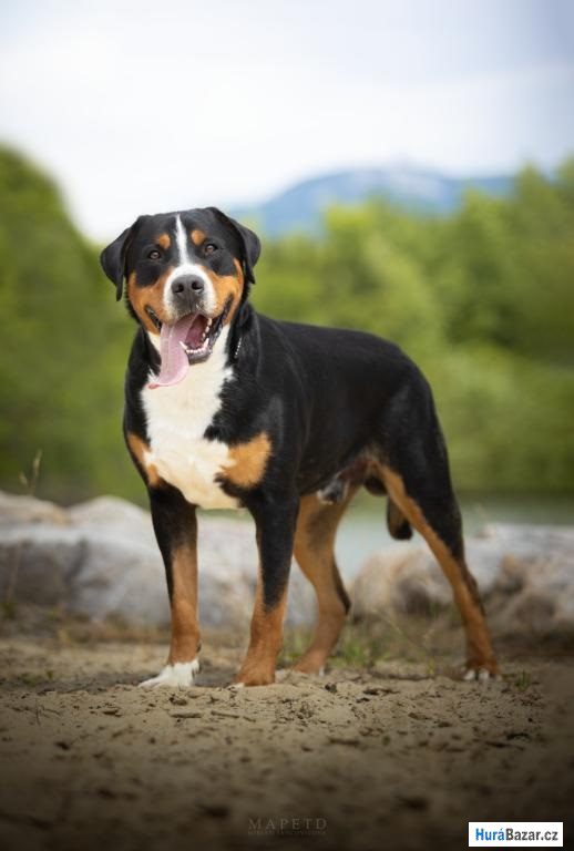 detailní fotografie