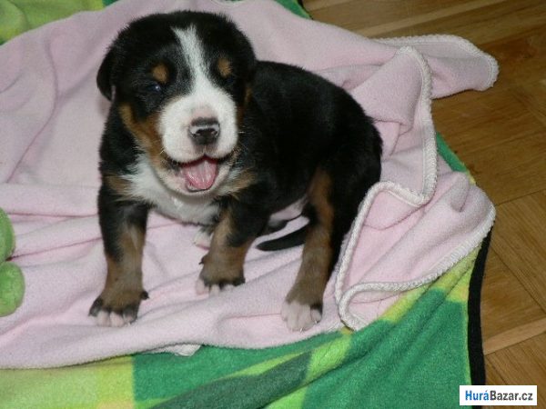 detailní fotografie