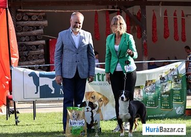 detailní fotografie