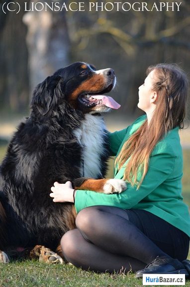 detailní fotografie