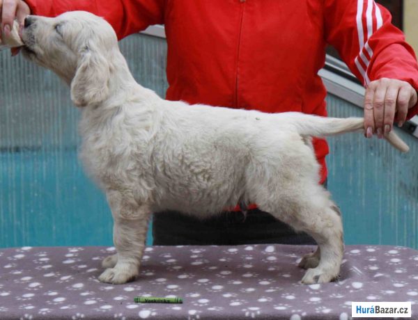 detailní fotografie