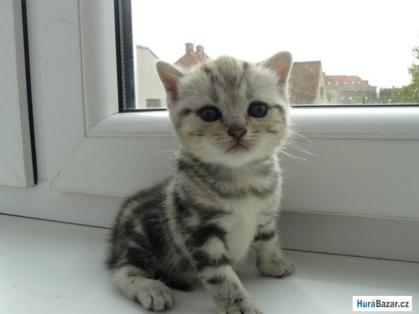 detailní fotografie