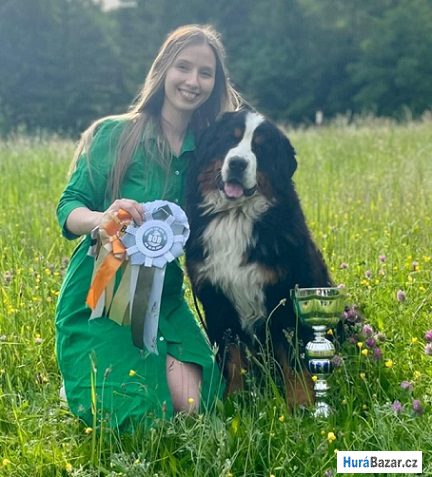 detailní fotografie