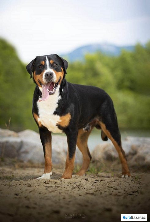 detailní fotografie