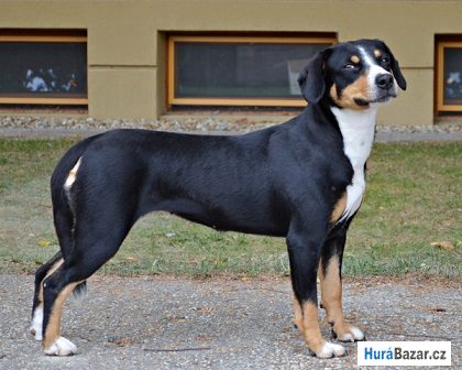 detailní fotografie