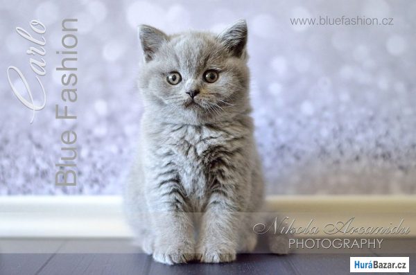 detailní fotografie