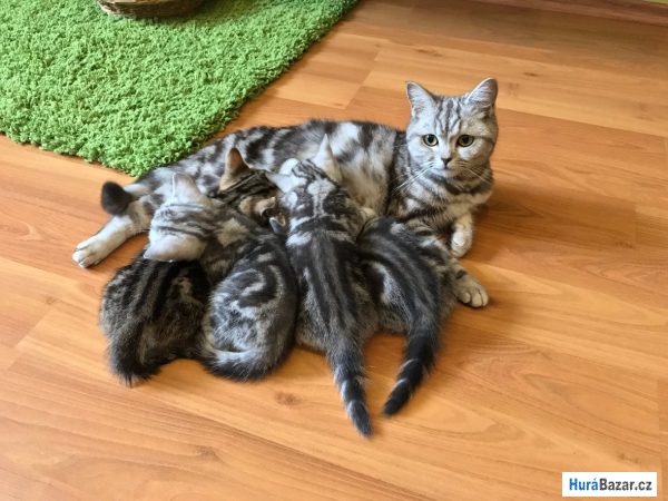 detailní fotografie