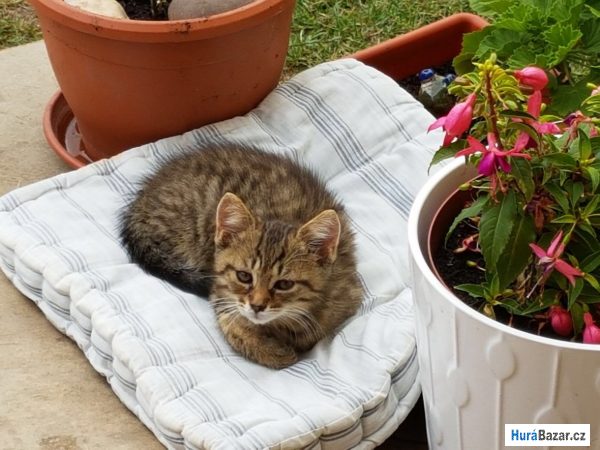 detailní fotografie