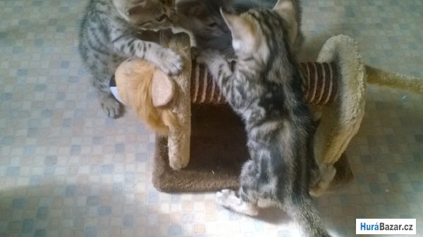 detailní fotografie