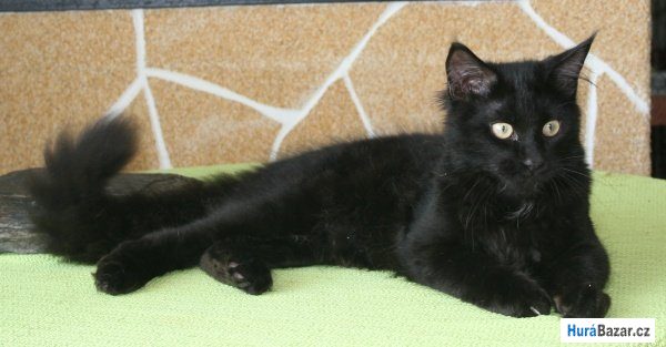 detailní fotografie