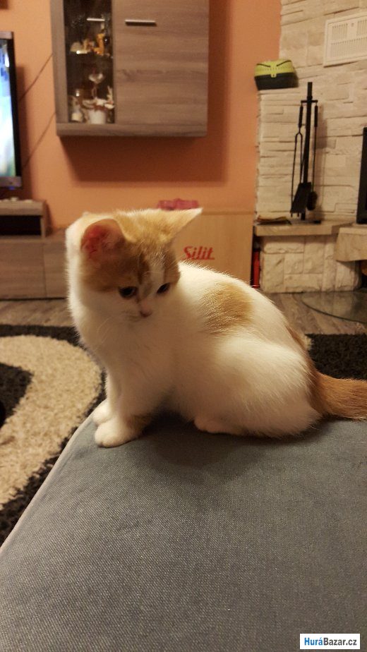 detailní fotografie