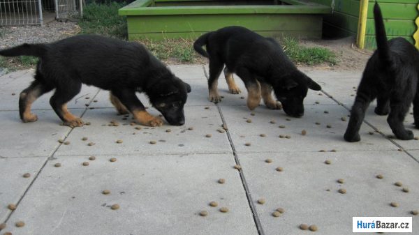 detailní fotografie