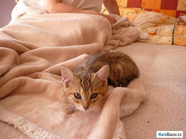 detailní fotografie