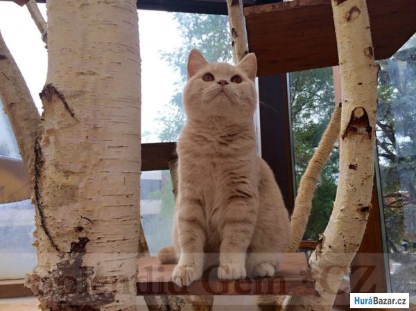 detailní fotografie