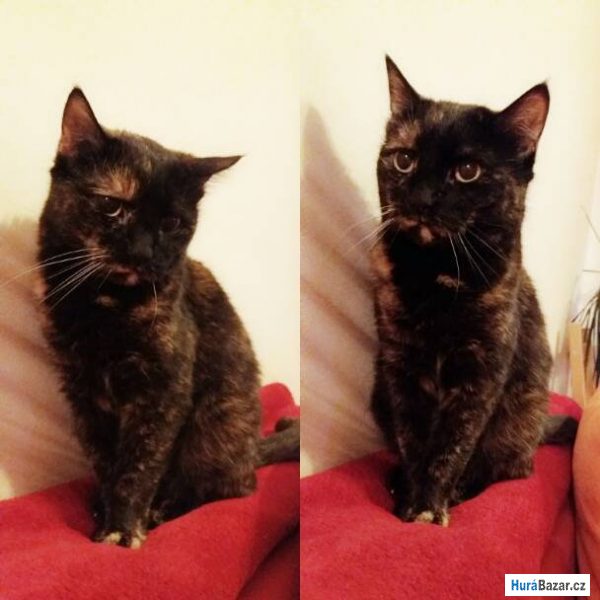 detailní fotografie