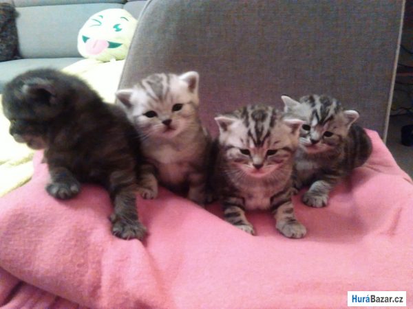 detailní fotografie