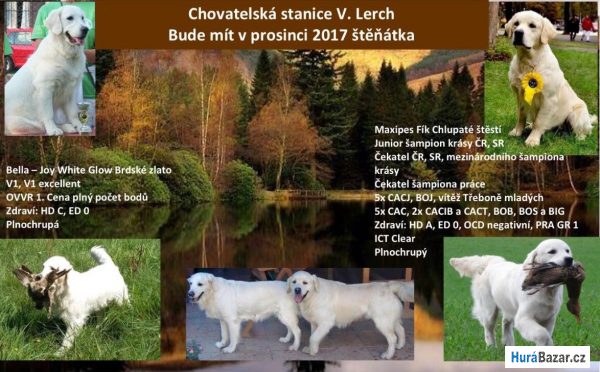 detailní fotografie