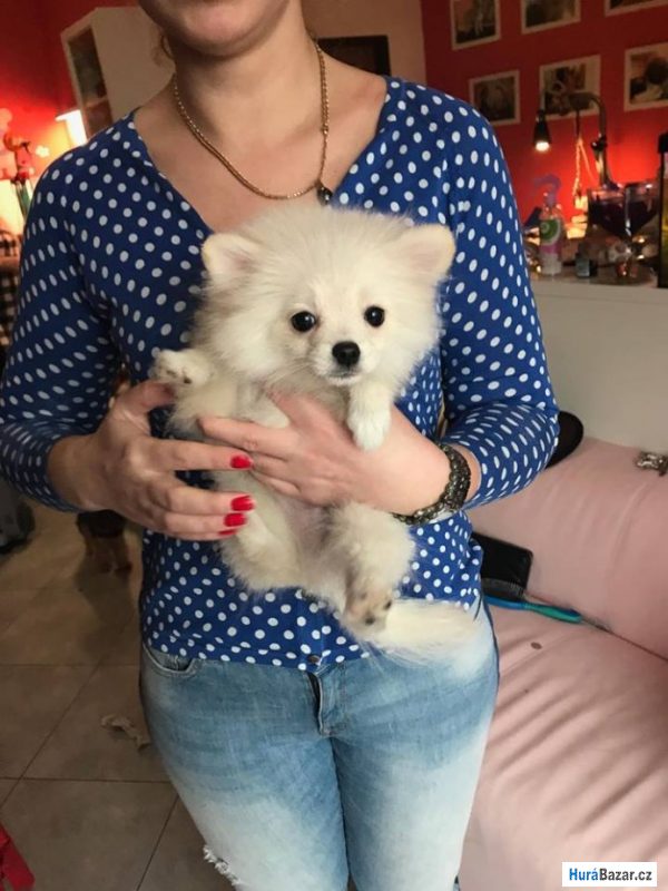 detailní fotografie