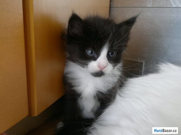 detailní fotografie