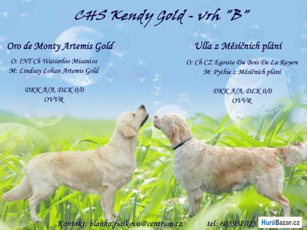 detailní fotografie