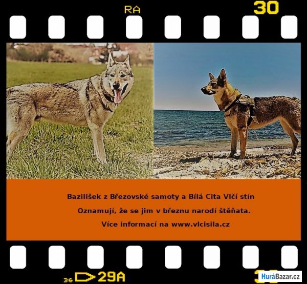 detailní fotografie