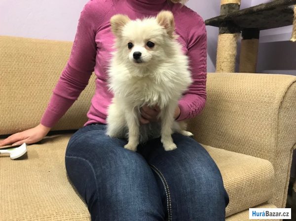 detailní fotografie