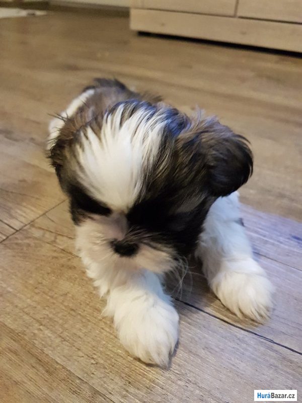 detailní fotografie