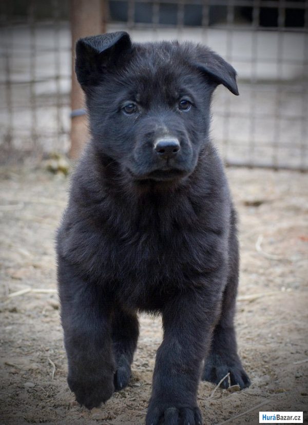 detailní fotografie