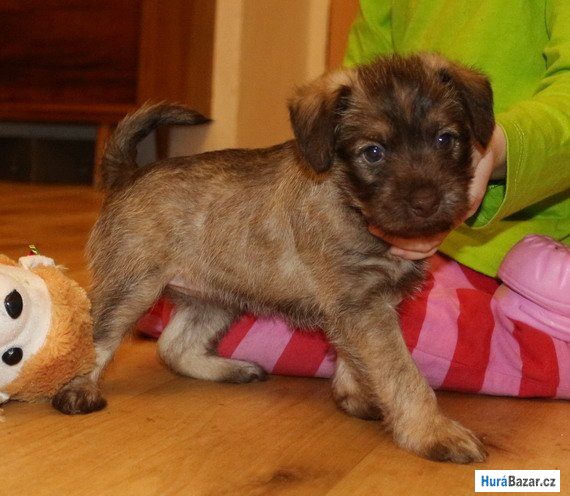 detailní fotografie