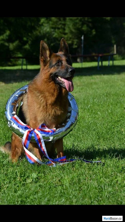 detailní fotografie