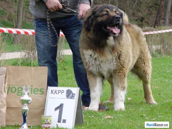 detailní fotografie