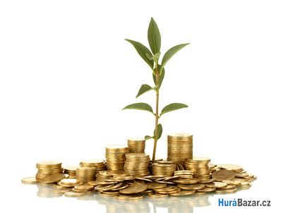 detailní fotografie