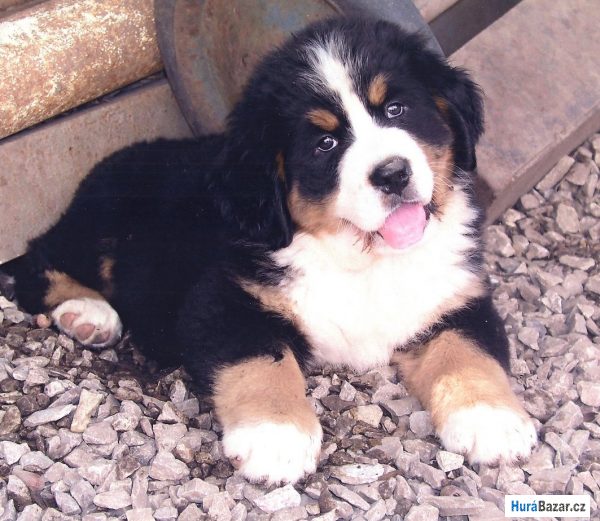 detailní fotografie