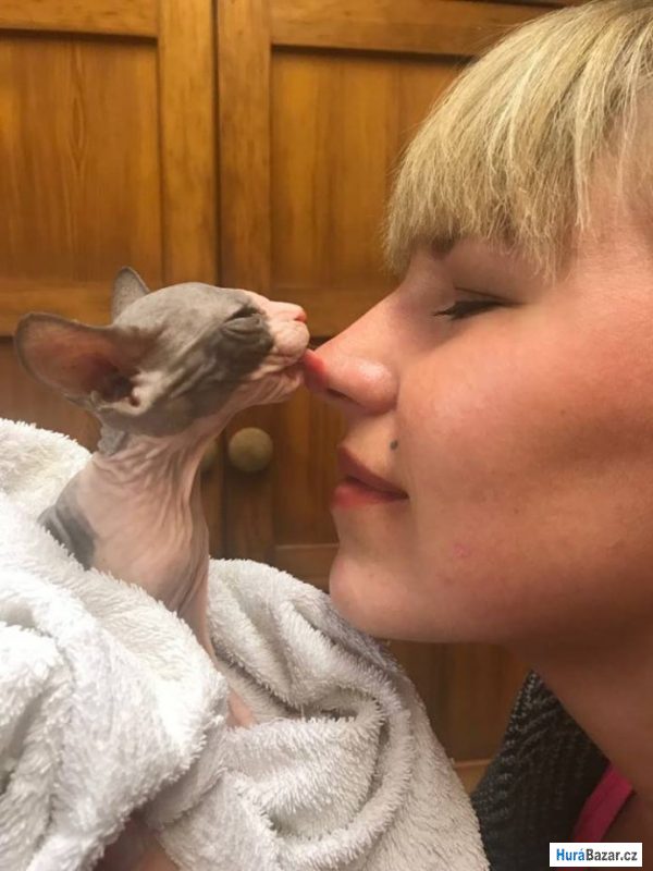 detailní fotografie